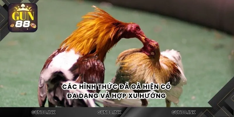 Các hình thức đá gà hiện có đa dạng và hợp xu hướng